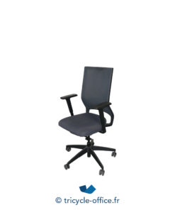 Fauteuil Ergonomique Sedus Netwin Occasion Tricycle Office Fauteuil Ergonomique Sedus Netwin Occasion Tricycle Office