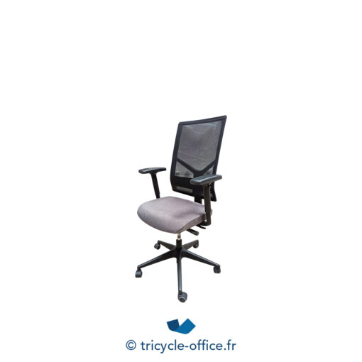 Tricycle-Office-mobilier-bureau-occasion-Fauteuil-de-bureau-EUROSIT-assise-grise (2)