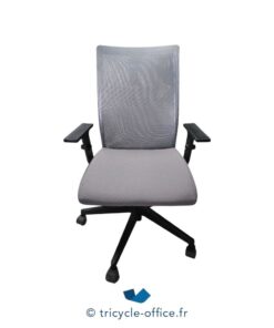 Fauteuil de bureau Gris