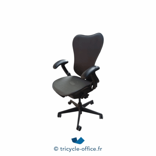 Tricycle-Office-mobilier-bureau-occasion-Fauteuil-de-bureau-HERMAN-MILLER-Mirra (2)